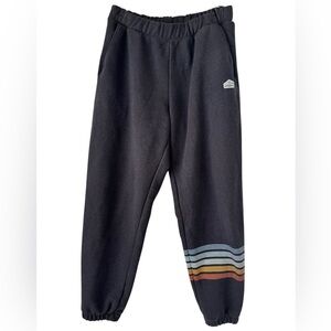 Patagonia Men’s Line Logo Ridge Stripe Black Joggers - Small